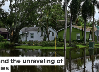 In fall 2024, Tampa and other Florida cities on the Gulf coast were hit by hurricanes Helene and Milton within 13 days of each other. Giorgio Viera/AFP via Getty Images